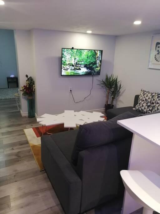 Appartamento Cozy Nest Basement Unit Hamilton Esterno foto