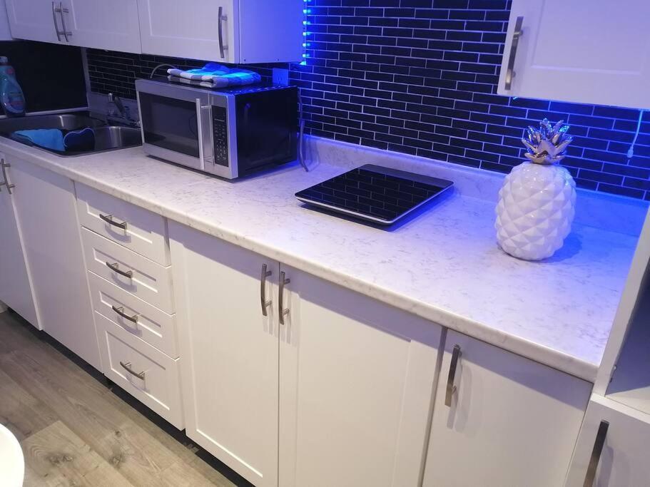 Appartamento Cozy Nest Basement Unit Hamilton Esterno foto
